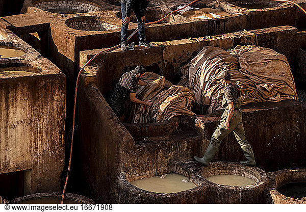 Marokkanische Arbeiter färben Leder in der Gerberei von Fez