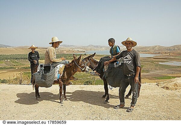 Marokkanische Bauern mit Eseln  hinten der Sidi Chahed Stausee  Zegouta-Tal  Marokko  Afrika