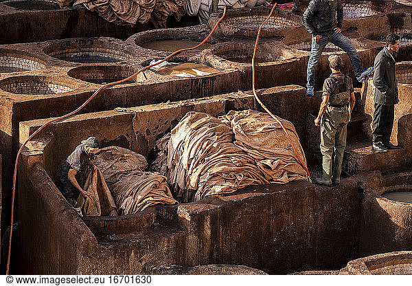 Marokkanische Lederarbeiter in der Gerberei von Fez