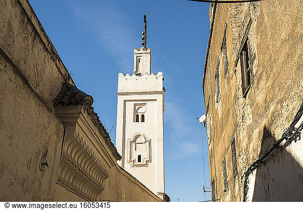 Marokko  Fes  Altstadthäuser und Minarett