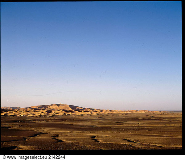 Marokko in der Nähe von Rissani  der Rand der Sahara und die Dünen der Chebbi