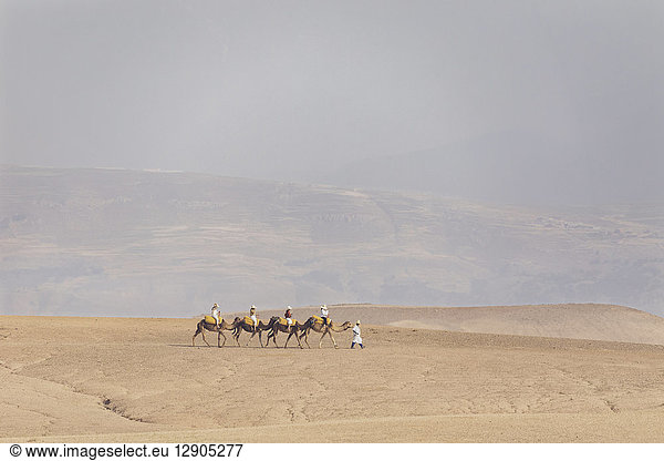 Marokko  Karawane  Touristen auf Kamelen