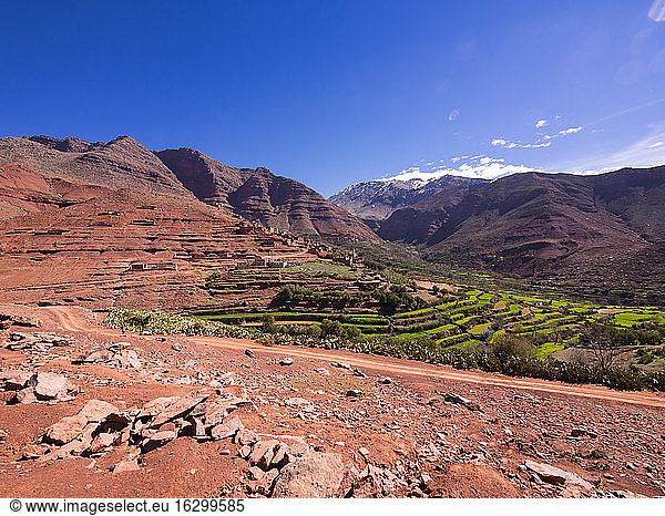 Marokko  Marrakesch-Tensift-El Haouz  Atlasgebirge  Dorf Anammer  Ourika-Tal