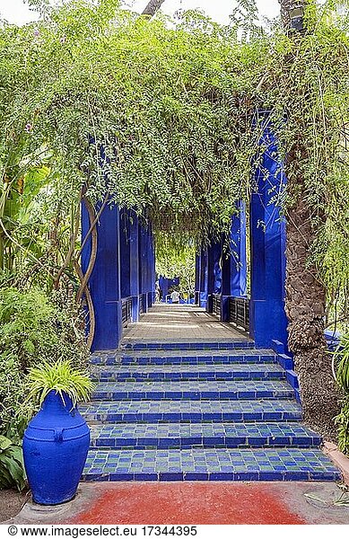 Marrakech  Morocco  January 15  2020:Colorful architecture in beautiful Majorelle Garden established by Yves Saint Laurent  Africa