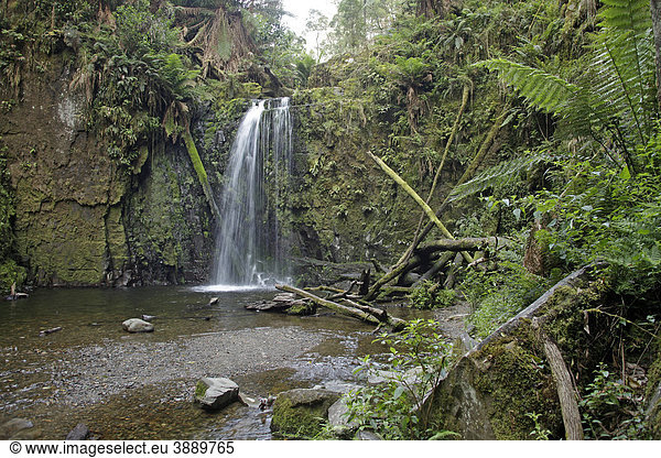 Marriners Falls im Great Otway Nationalpark Great Ocean Road Victoria Australien