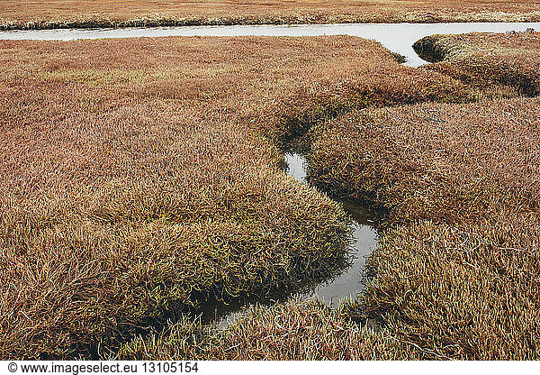 Marsh and tidelands at dusk in a national seashore reserve in California  USA