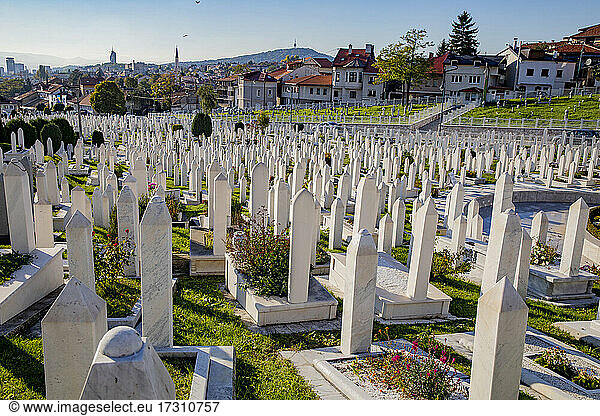 Martyrs' Memorial Cemetery Kovaci  the main cemetery for soldiers from the Bosnian Army  Stari Grad  Sarajevo  Bosnia  Europe