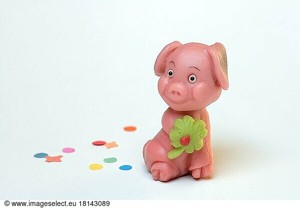 Marzipan lucky pig  New Year  New Year wishes
