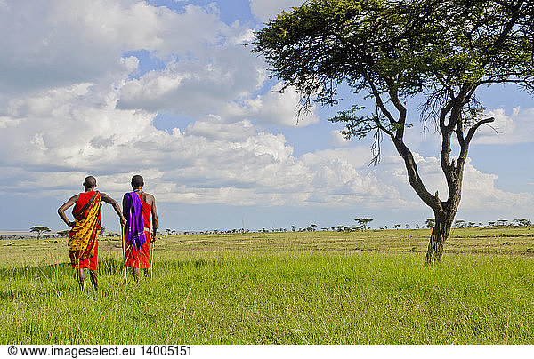 Masai Warriors  Kenya