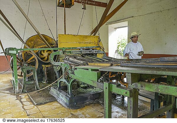 Maschine zum Quetschen von Sisal-Agaven  Landwirtschaftsmuseum  Produktion von Sisalfasern  Hacienda Sotuta de Peon  Yucatan  Mexiko  Mittelamerika