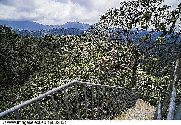 Mashpi Cloud Forest 26m hoher Aussichtsturm  Choco Regenwald  Ecuador  Südamerika
