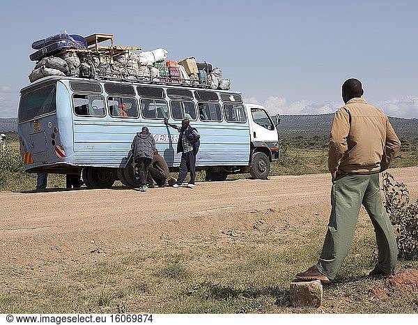 Massai im Bus nach Losho  in der Nähe des Masai Mara Naturreservats  Kenia.