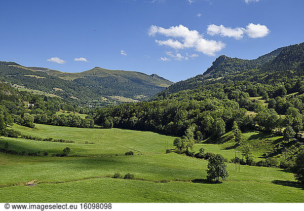 Massif du Puy Mary  Auvergne Volcanoes Regional Nature Park  France