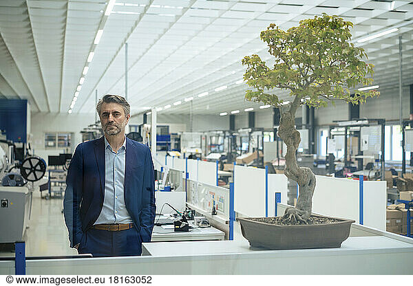 Mature businessman with hands in pockets standing by bonsai tree