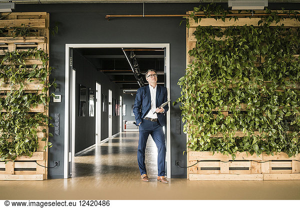 Mature businessman with laptop standing in green office