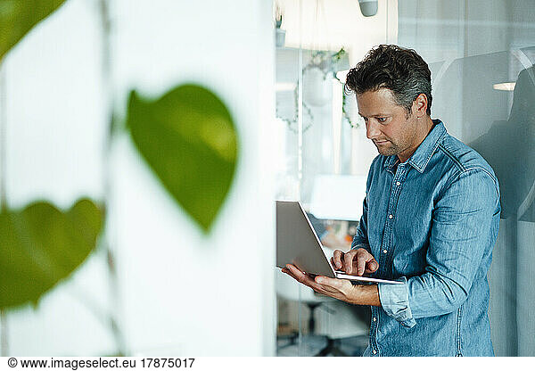 Mature businessman working on laptop in office