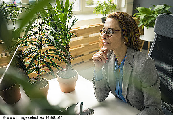 Mature businesswoman working in sustainable office  with plants on her desk