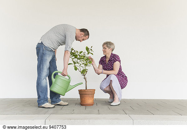 Mature couple caring for little tree
