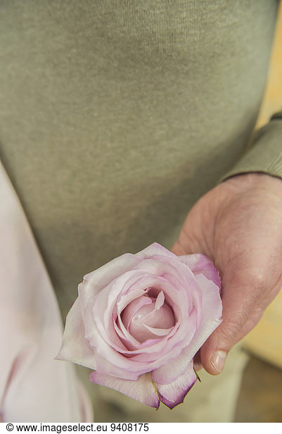 Mature couple holding rose  close up