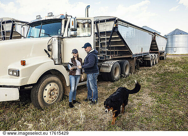 Mature couple working on their farm  standing next to a diesel transport truck and consulting their tablet computer while their pet dog walks by; Alcomdale  Alberta  Canada