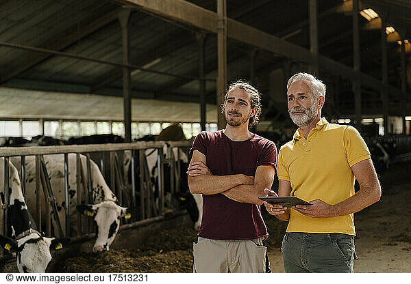 Mature farmer with tablet and adult son at cow house on a farm