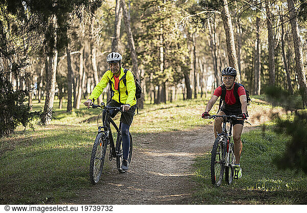Mature friends wearing helmet and riding bicycles in forest on sunny day