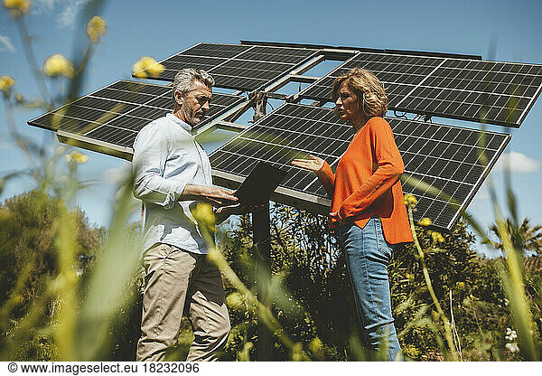 Mature man and woman discussing over solar panels in garden