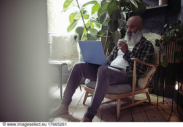 Mature man with tea using laptop in armchair at home