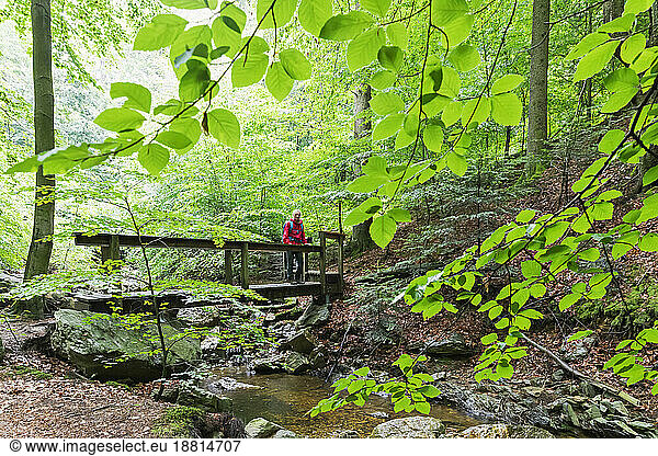 Mature woman standing on bridge in forest