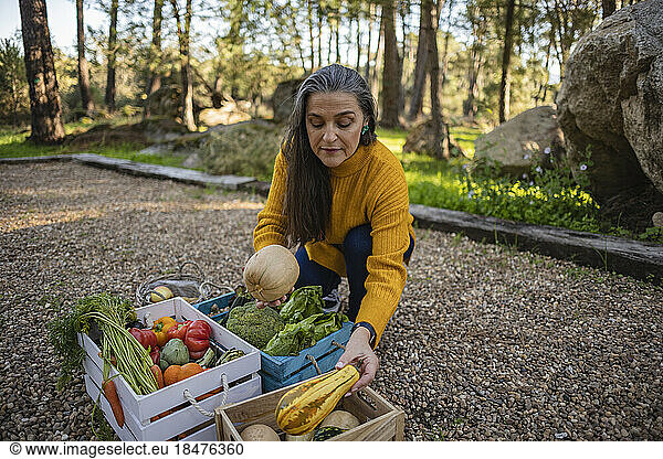 Mature woman taking vegetables from crate