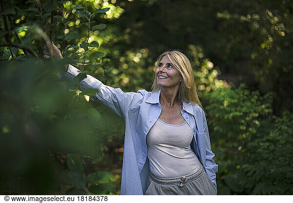 Mature woman touching plant in garden
