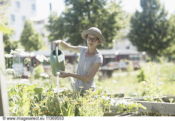 Mature woman watering plants in urban garden