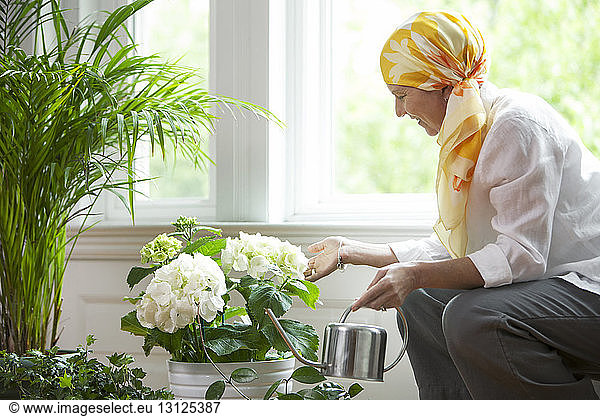 Mature woman watering potted plants against window