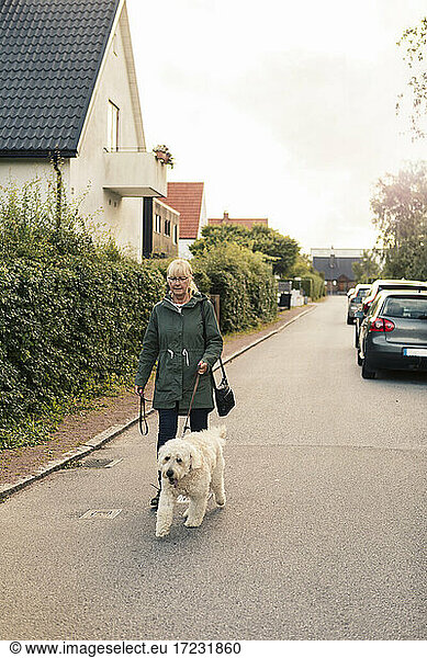 Mature woman with dog walking on street during sunset