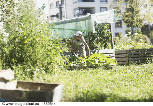 Mature woman working in urban garden