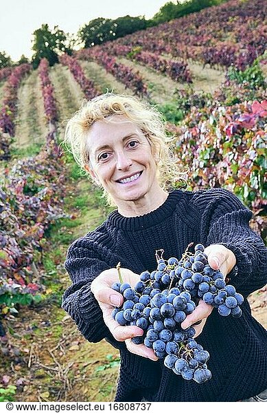 Mature young blondy farmer woman in a vineyard farmland with a bunch of grapes. Iguzkiza  Navarre  Spain  Europe.