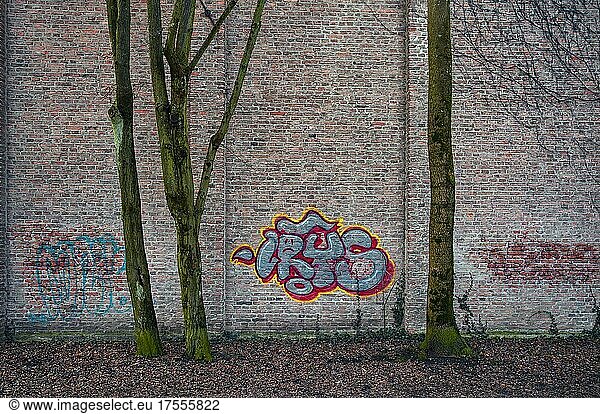 Mauer am Südfriedhof mit Graffiti  München  Bayern  Deutschland  Europa
