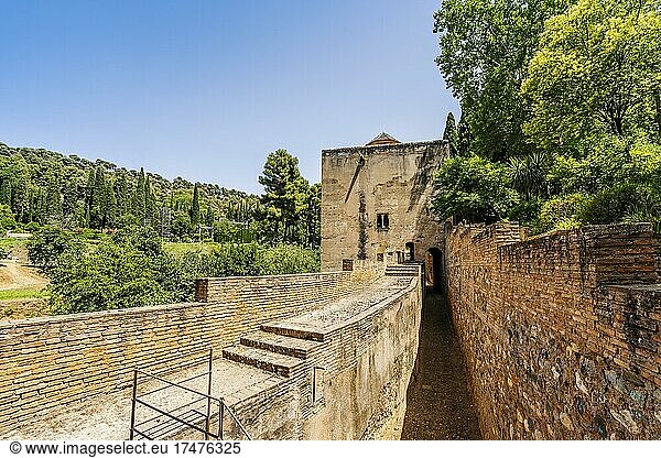 Mauern der maurischen Palastanlage Alhambra in Granada  Spanien  Europa