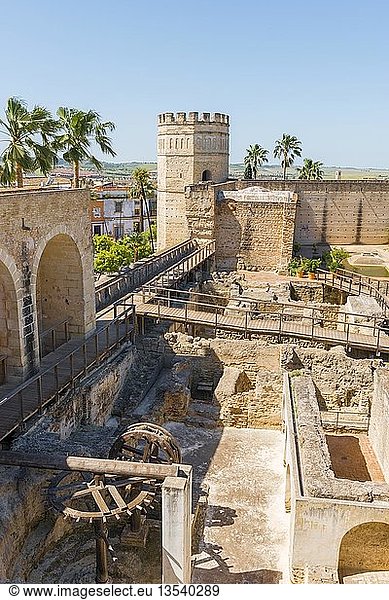 Mauern und Ruinen der arabischen Bäder im Alcázar de Jerez  maurische Festung  Jerez de la Frontera  Provinz Cádiz  Andalusien  Spanien  Europa
