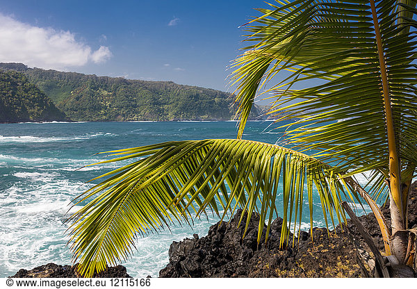 Maui's lush East side cliffs along the road to Hana; Keanae  Maui  Hawaii  United States of America
