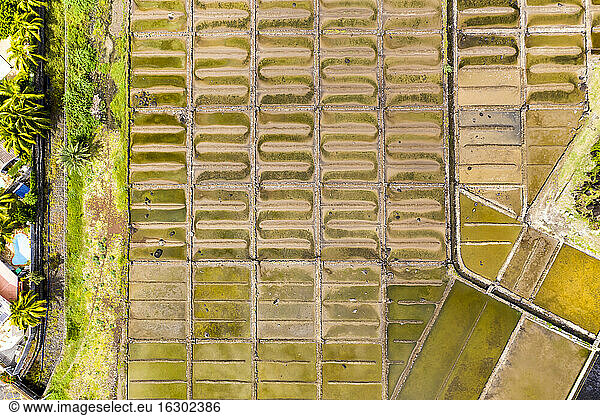 Mauritius  Black River  Tamarin  Helicopter view of rows of salt pans