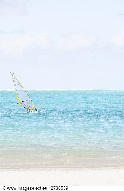 Mauritius  Grand Port District  Pointe d'Esny  sail boarder