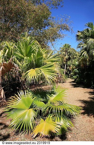 Mauritius  Moka  Eureka kreolische Mansion Gärten
