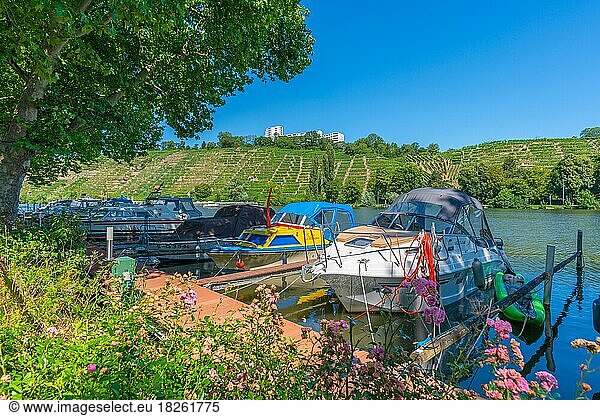 Max-Eyth-See  watersports centre on the Neckar  motorboats at the jetty  Stuttgart  vineyards on the Neckar  hillside location  district of Mühlhausen  local recreation area  leisure  Baden-Württemberg  Germany  Europe