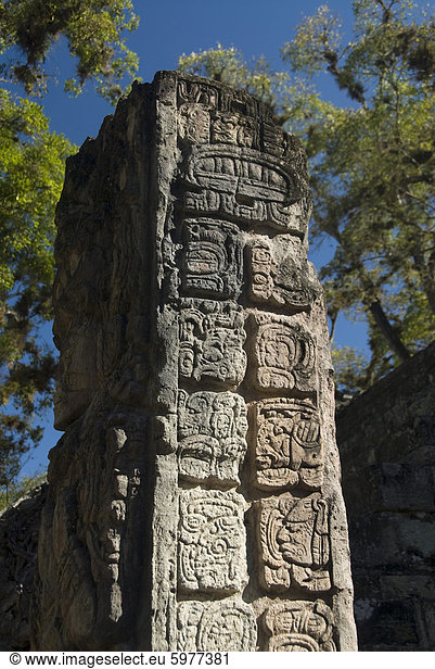 Maya Glyphen auf der Seite Stela P  West Court  Copan archäologischen Park  Copan  UNESCO Weltkulturerbe  Honduras  Mittelamerika