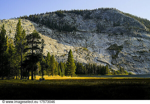 Meadow and lake in Yosemite National Park