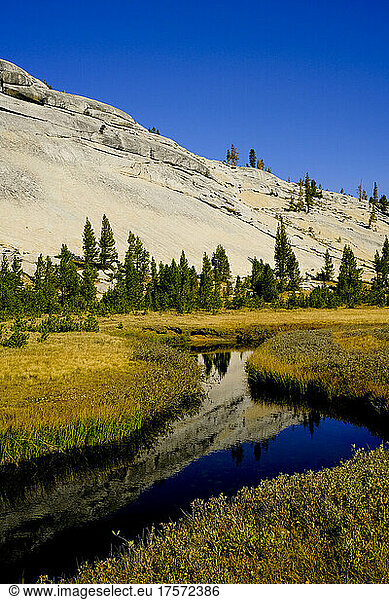 Meadow and stream in Yosemite National Park
