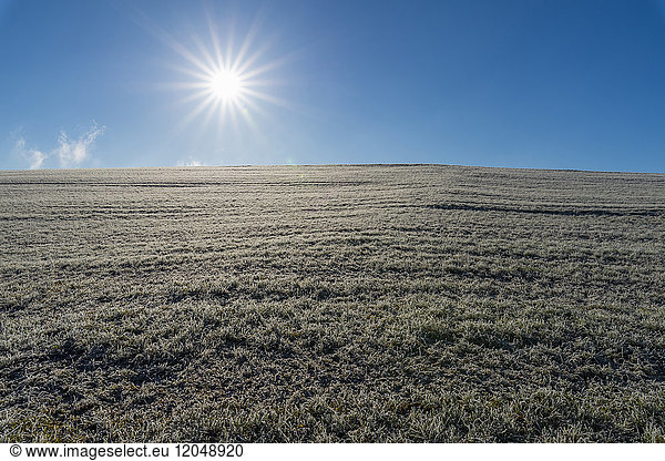 Meadow in autumn with hoarfrost and sun in the district of Vielbrunn in the Odenwald hills in Hesse  Germany