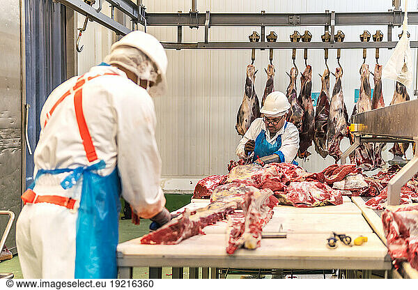 Meat locker workers cutting cow rib at slaughterhouse