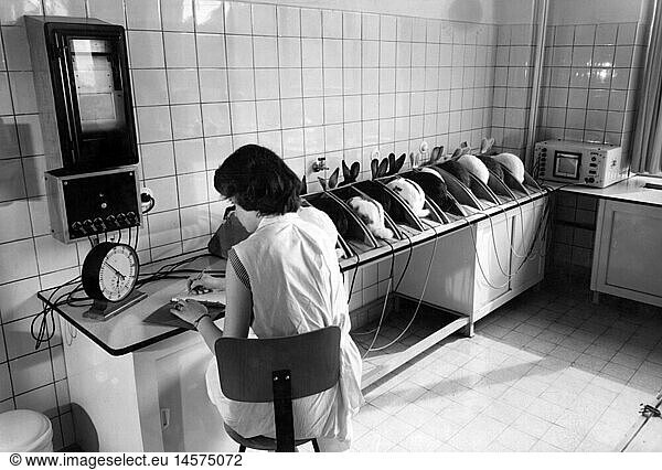 medicine  lab  rabbits during a test  circa 1960s
